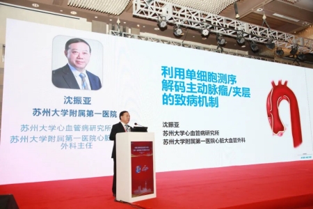 蘇州大學(xué)心血管病研究所所長、蘇州大學(xué)附屬第一醫(yī)院心臟大血管外科主任沈振亞教授作報(bào)告